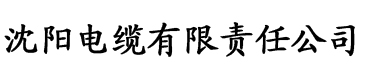 九九热最新网址电缆厂logo